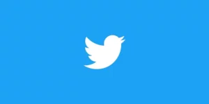 Twitter Login